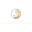 www.fokusundhealth.com favicon